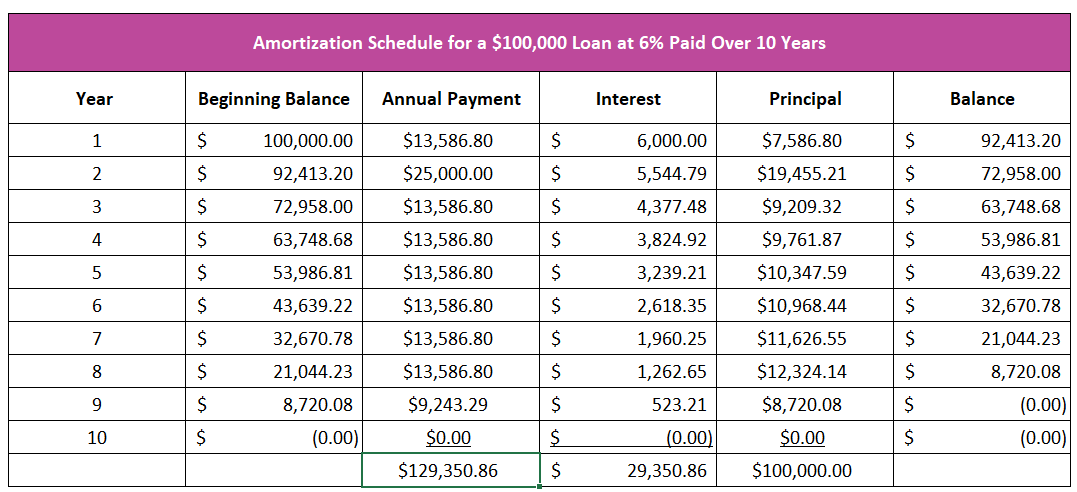 Amortization Schedule